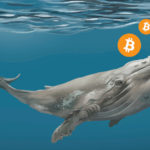 Bitcoin Whales Transferred $90 Million Worth of Cryptocurrency to Unknown Wallets in a Few Hours
