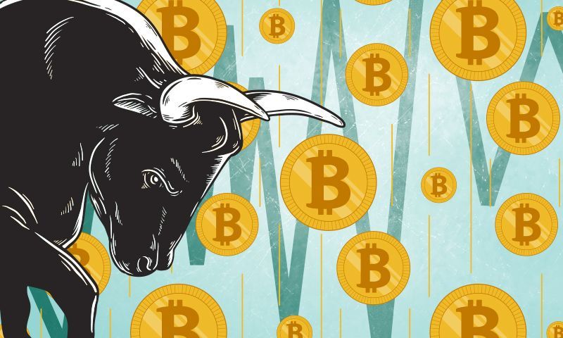 The Bulls Will Try to Take Bitcoin over $11,000