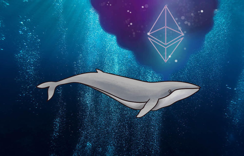 The Number of Ethereum Whales is Growing