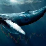 Number of Addresses Containing 100 BTC or More Hits a Six-Month High