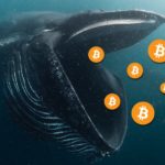 The US Government Becomes One of The Largest Bitcoin Whales After a Confiscation