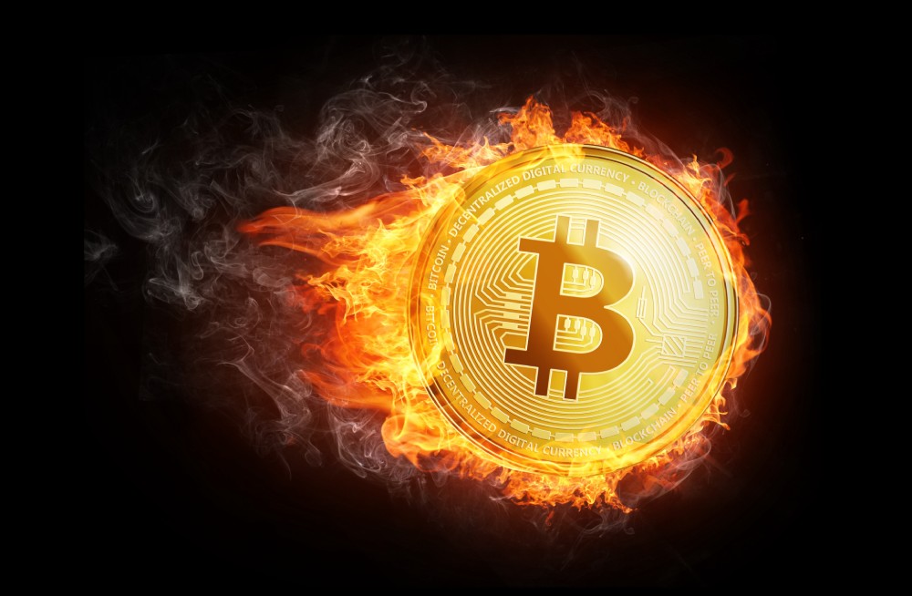 Bitcoin Will Rise in Price to $50,000, Bloomberg Analysts Suggest