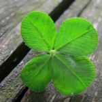 A User Found Lost Bitcoins Worth $4.2 Million