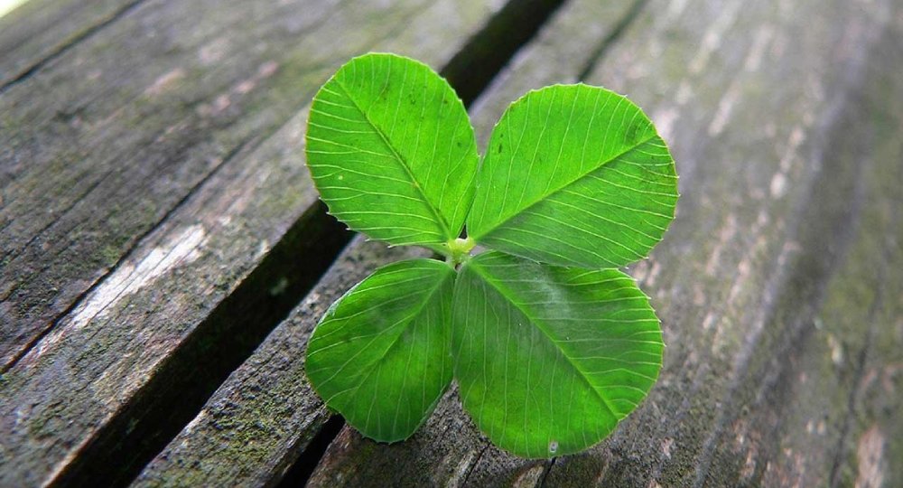 A User Found Lost Bitcoins Worth $4.2 Million