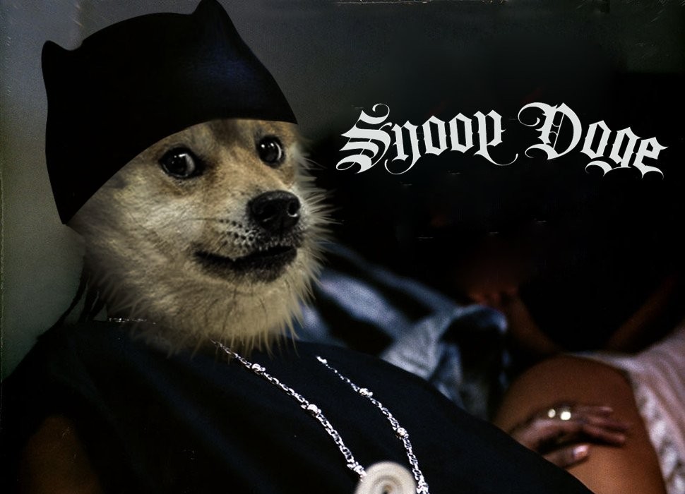 Dogecoin Soars More Than 36% After Snoop Dogg Becomes Snoop DOGE