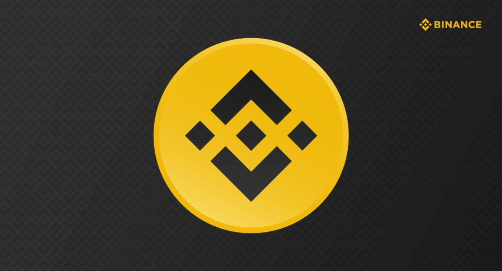 BTC Worth $1.2 Billion Withdrawn from Binance Amid Price Crash