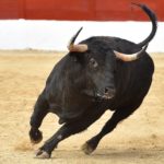 PlanB: "Bitcoin Decline Only Confirms the Overall Bullish Trend"