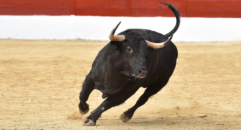 PlanB: "Bitcoin Decline Only Confirms the Overall Bullish Trend"