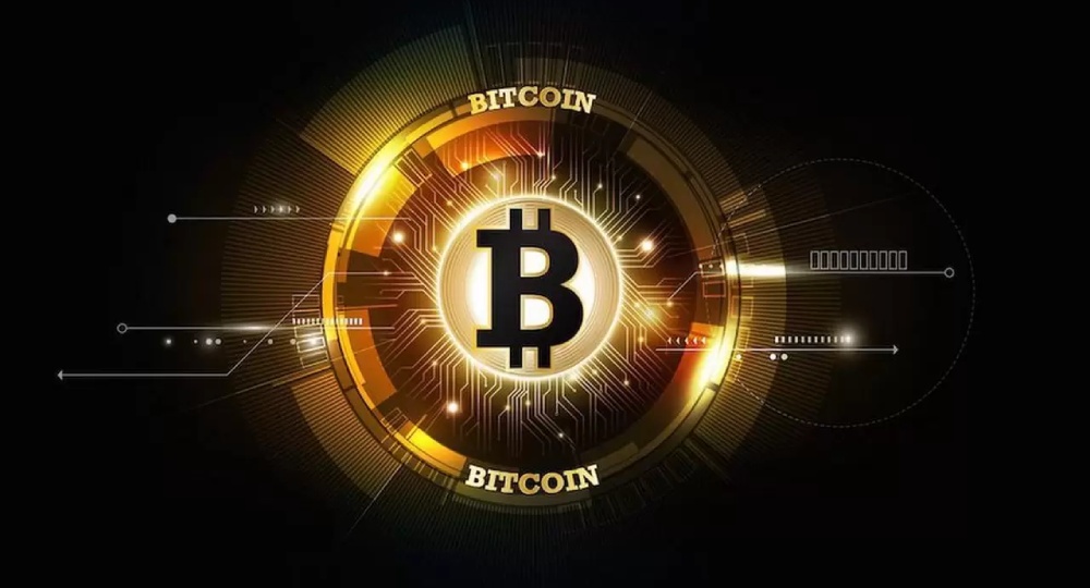 Number of Bitcoin Holders Rises to Record High, Data Reveals