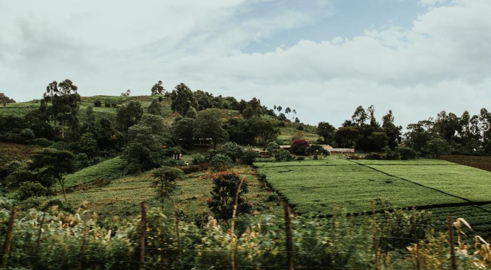 Etherisc Covers 17K Kenyan Farmers Under Crypto Insurance Tokens
