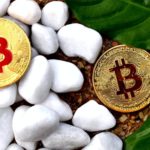 Canadian Firm Stresses Saving the Environment by Buying Bitcoin.