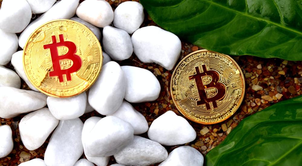 Canadian Firm Stresses Saving the Environment by Buying Bitcoin.