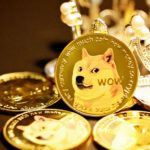 Elon Musk Changes the Crypto Game Again, This Time With His Pet Pup