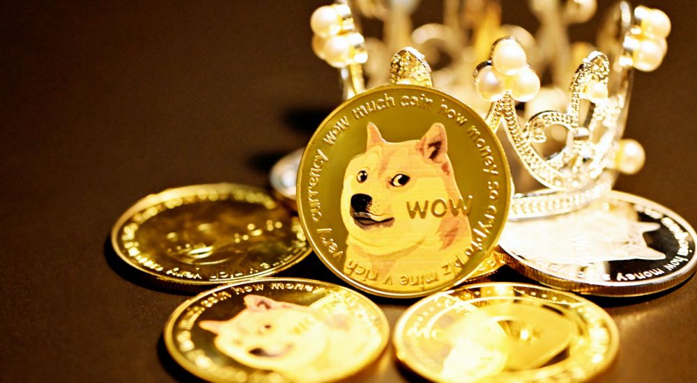 Elon Musk Changes the Crypto Game Again, This Time With His Pet Pup