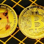 SHIB Coins See a Market Price Rise as Robinhood Promises to Enlist Them