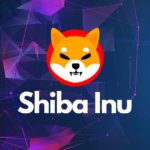 Shiba Inu Coins Suffered an Enormous Blow After Elon Musk's Statement