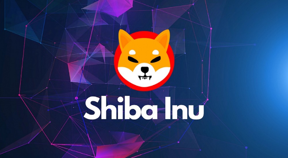 Shiba Inu Coins Suffered an Enormous Blow After Elon Musk's Statement
