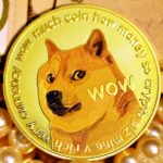 Soon After Elon Musk’s Comments, Binance Reinforced Dogecoin Withdrawals