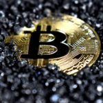 Crypto Holds while Dogecoin, Litecoin, and Polygon Increases